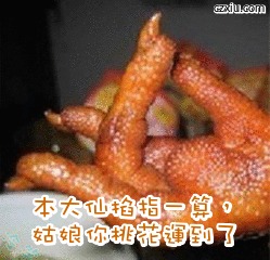 鸡爪神算